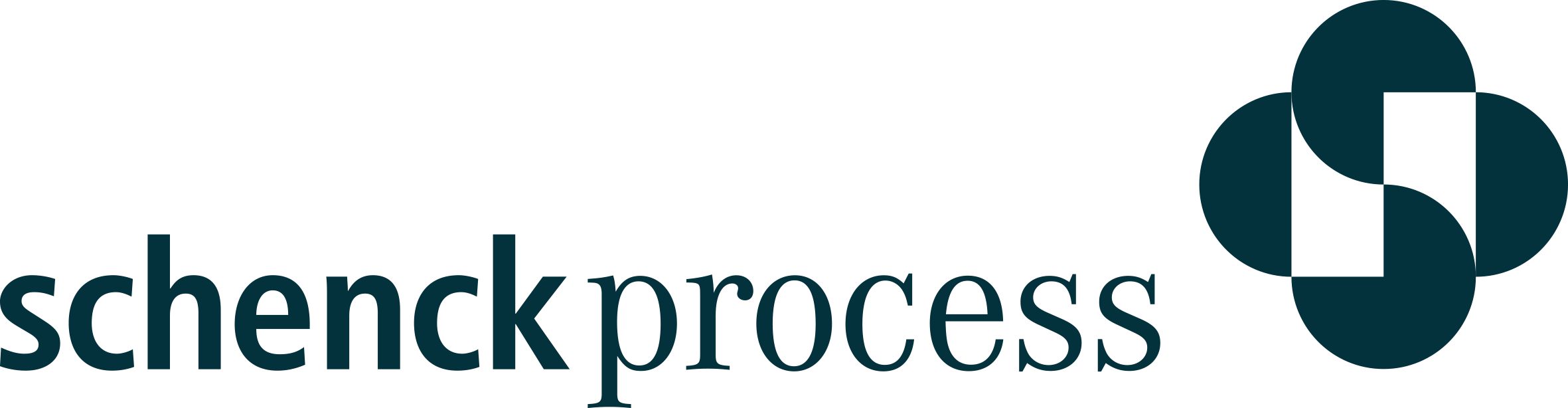 Schenck Process Europe GmbH logo